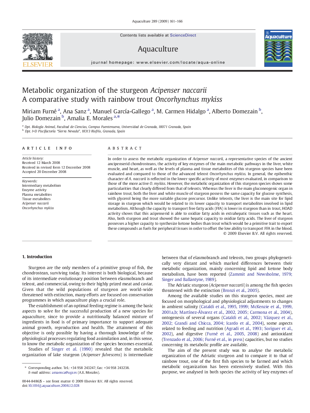 Metabolic organization of the sturgeon Acipenser naccarii: A comparative study with rainbow trout Oncorhynchus mykiss