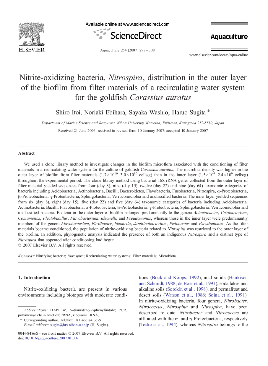 Nitrite-oxidizing bacteria, Nitrospira, distribution in the outer layer of the biofilm from filter materials of a recirculating water system for the goldfish Carassius auratus