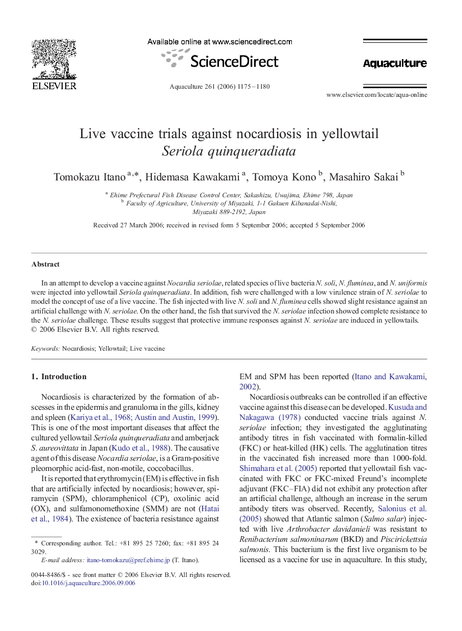 Live vaccine trials against nocardiosis in yellowtail Seriola quinqueradiata