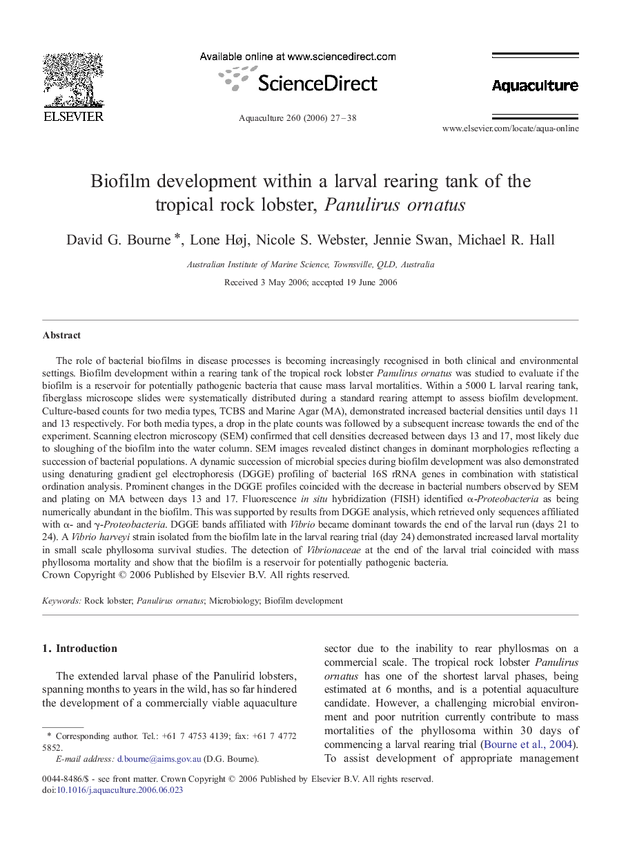 Biofilm development within a larval rearing tank of the tropical rock lobster, Panulirus ornatus