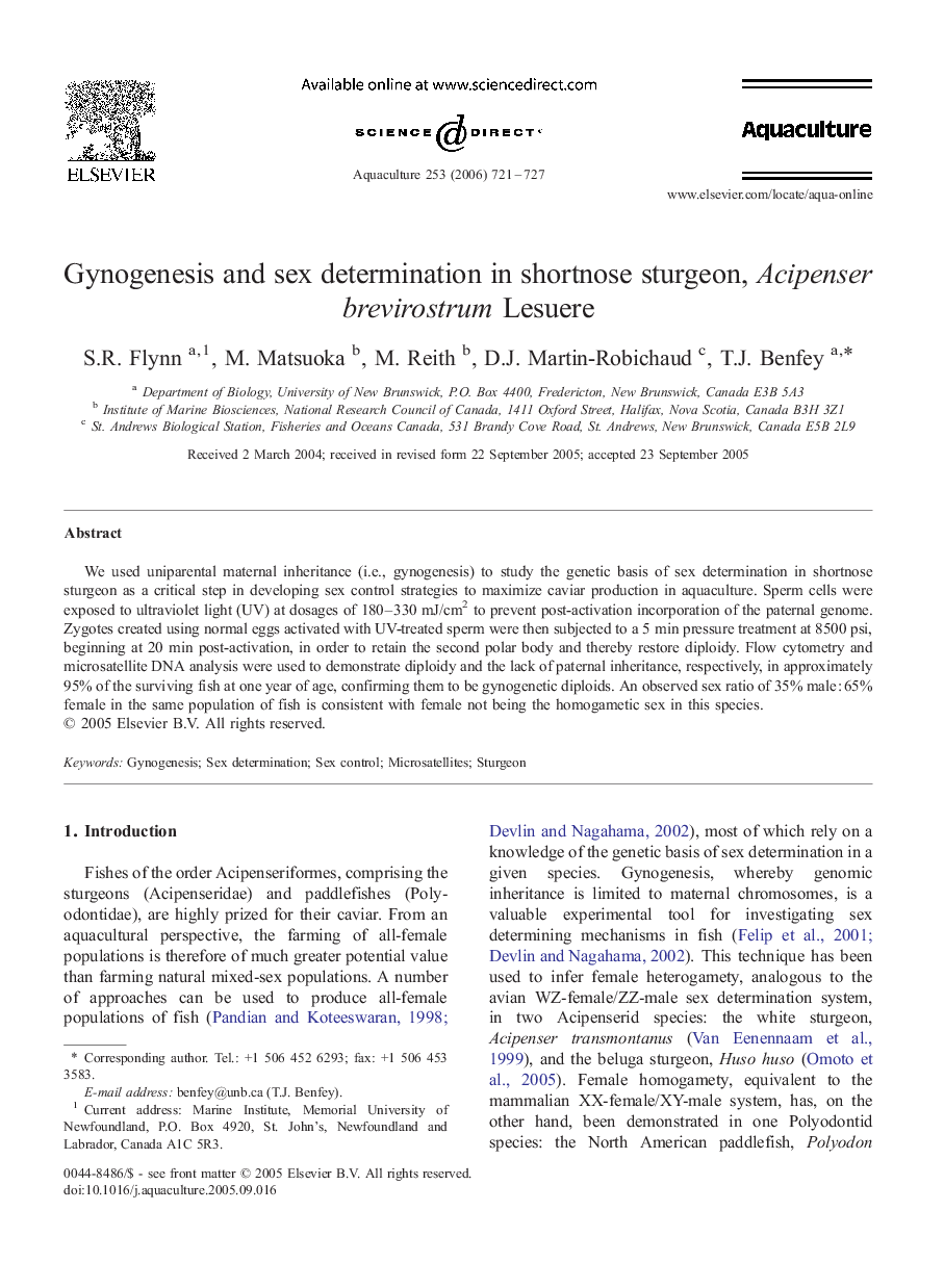 Gynogenesis and sex determination in shortnose sturgeon, Acipenser brevirostrum Lesuere