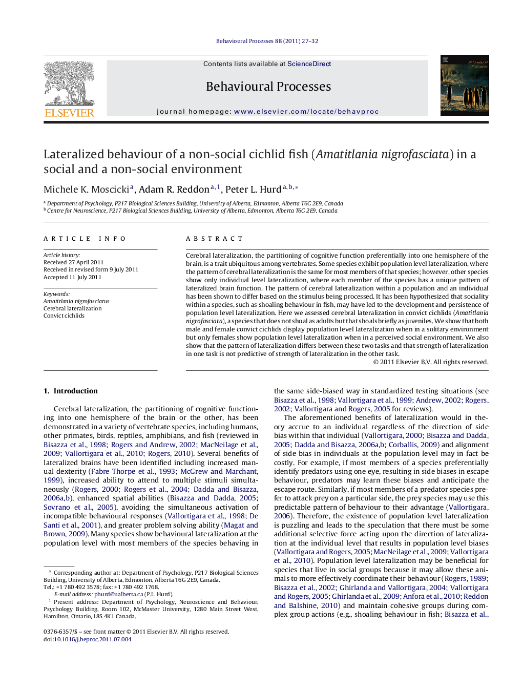 Lateralized behaviour of a non-social cichlid fish (Amatitlania nigrofasciata) in a social and a non-social environment