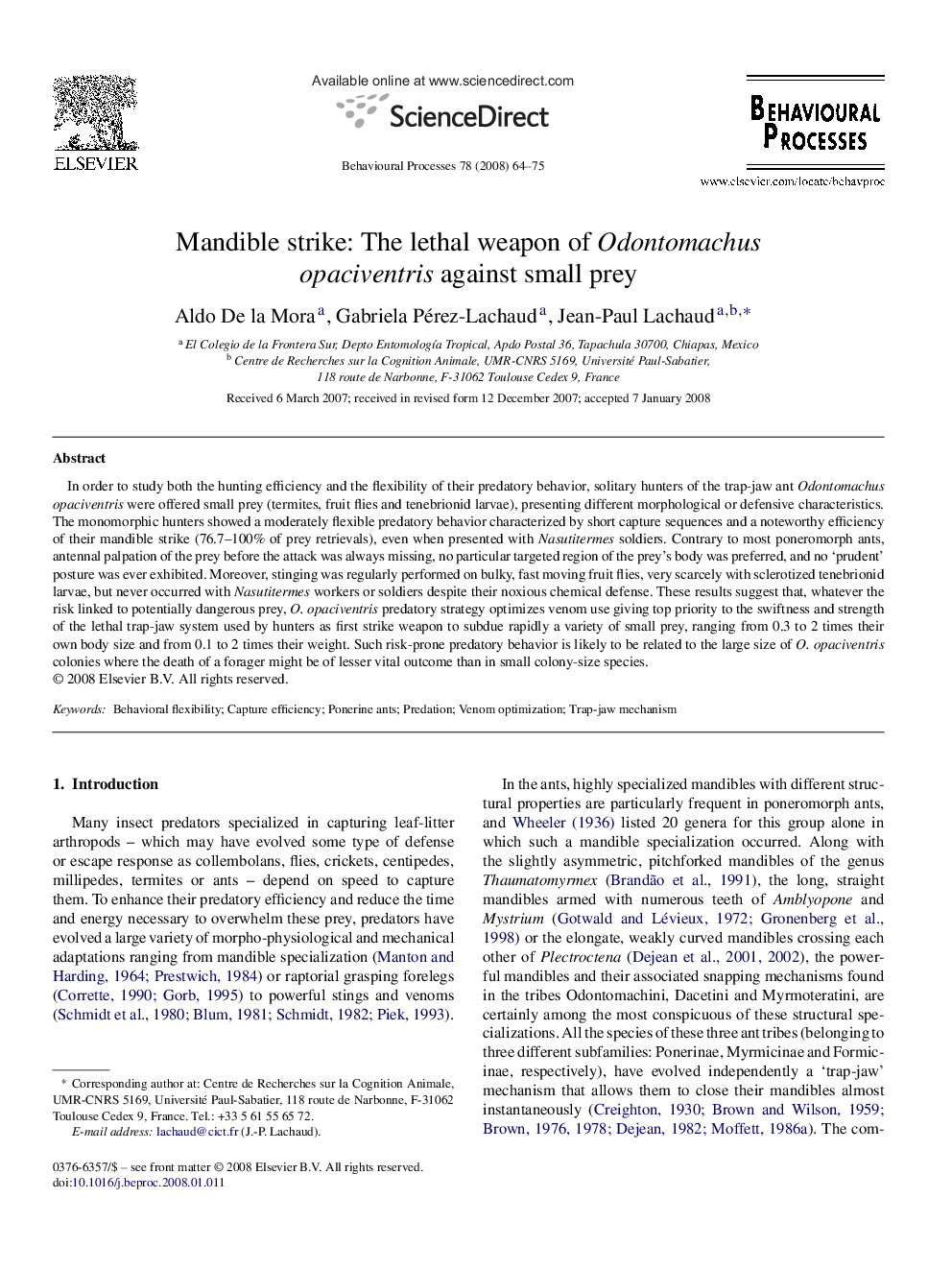 Mandible strike: The lethal weapon of Odontomachus opaciventris against small prey