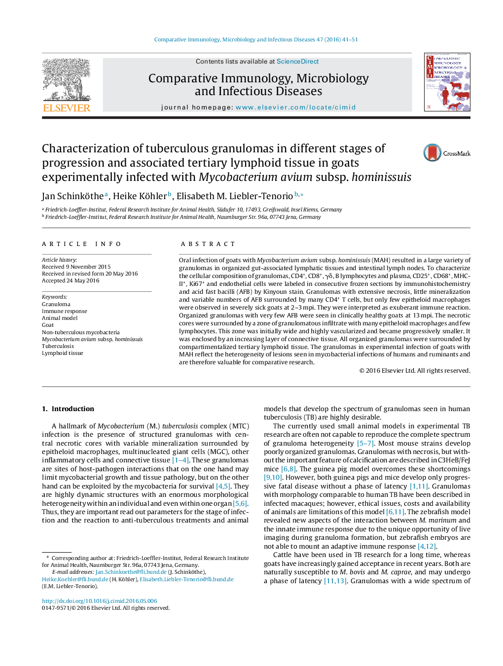 Characterization of tuberculous granulomas in different stages of progression and associated tertiary lymphoid tissue in goats experimentally infected with Mycobacterium avium subsp. hominissuis