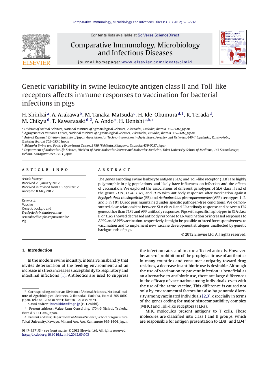 Genetic variability in swine leukocyte antigen class II and Toll-like receptors affects immune responses to vaccination for bacterial infections in pigs