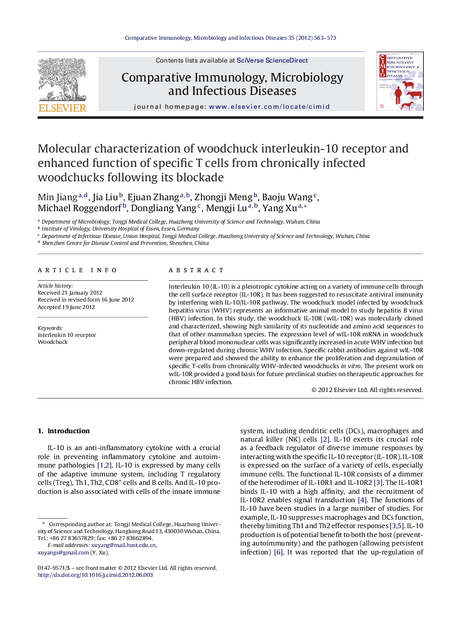 Molecular characterization of woodchuck interleukin-10 receptor and enhanced function of specific T cells from chronically infected woodchucks following its blockade