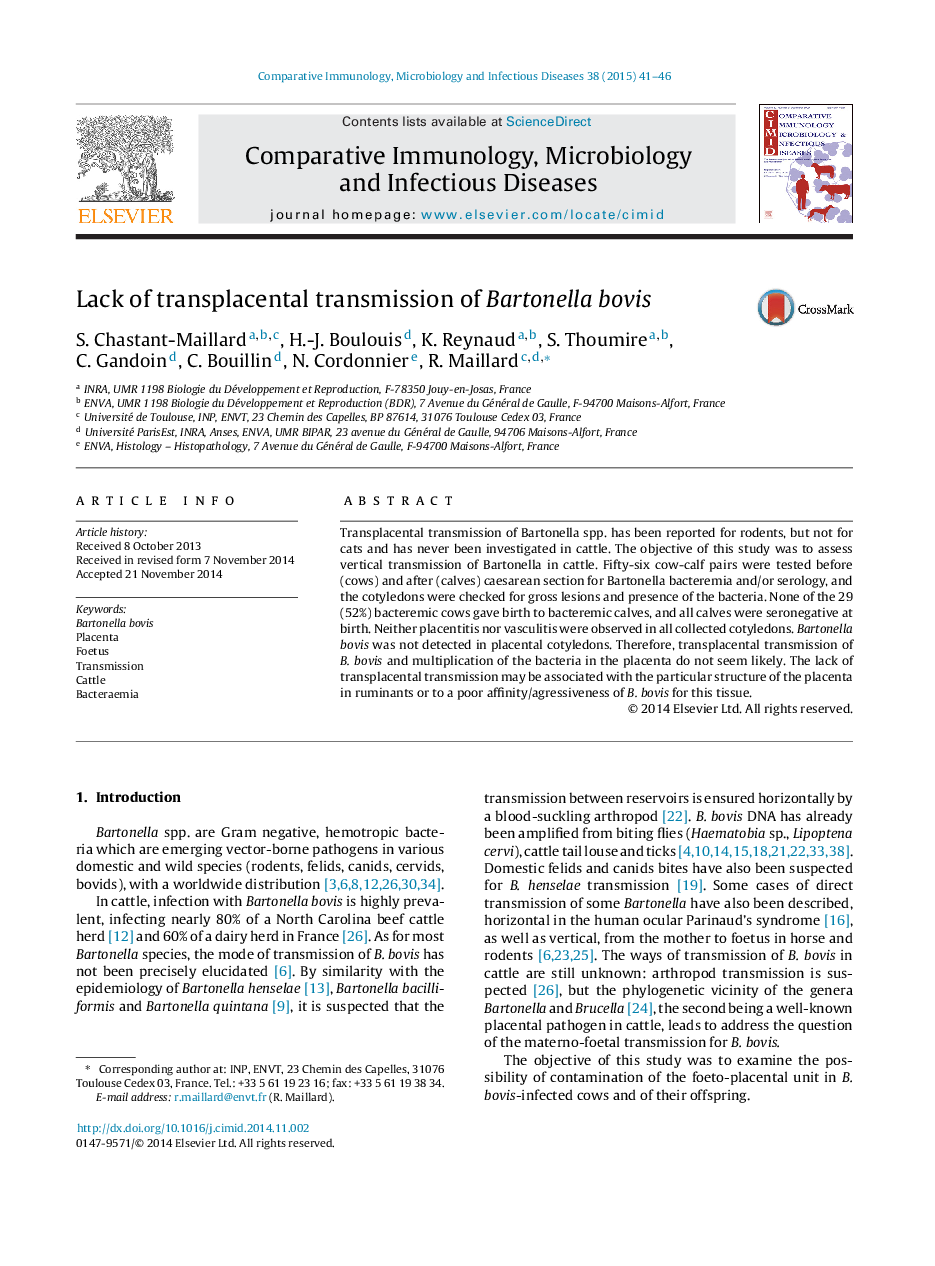 Lack of transplacental transmission of Bartonella bovis