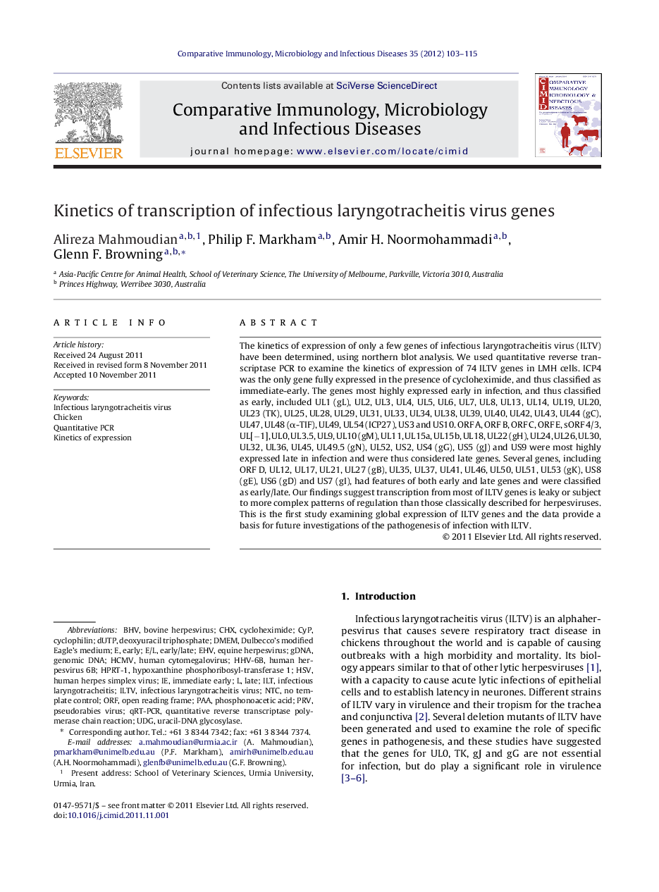 Kinetics of transcription of infectious laryngotracheitis virus genes