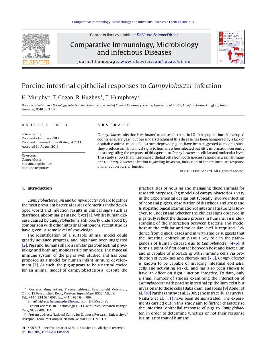 Porcine intestinal epithelial responses to Campylobacter infection