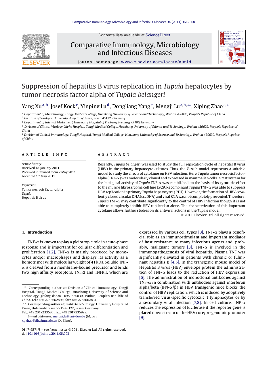 Suppression of hepatitis B virus replication in Tupaia hepatocytes by tumor necrosis factor alpha of Tupaia belangeri