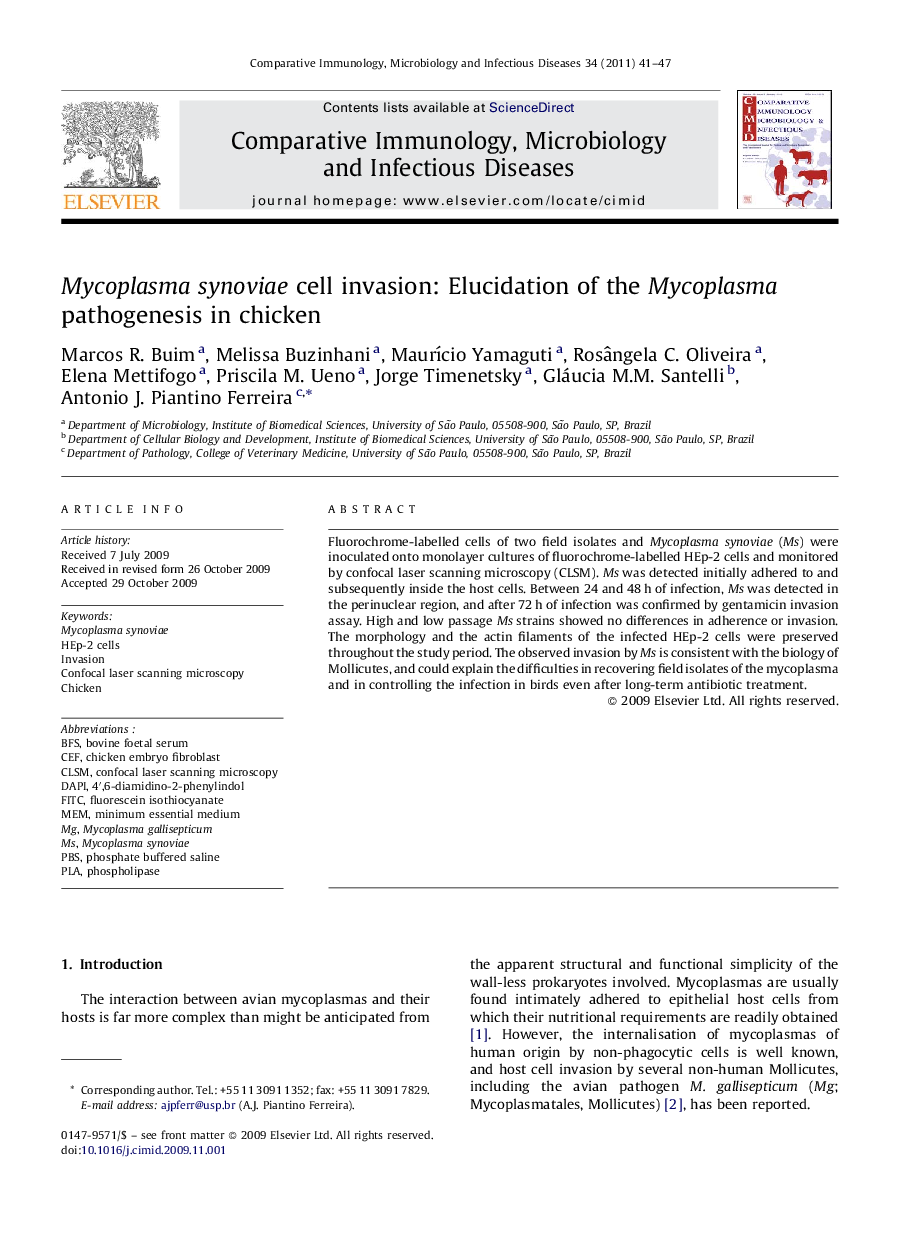 Mycoplasma synoviae cell invasion: Elucidation of the Mycoplasma pathogenesis in chicken