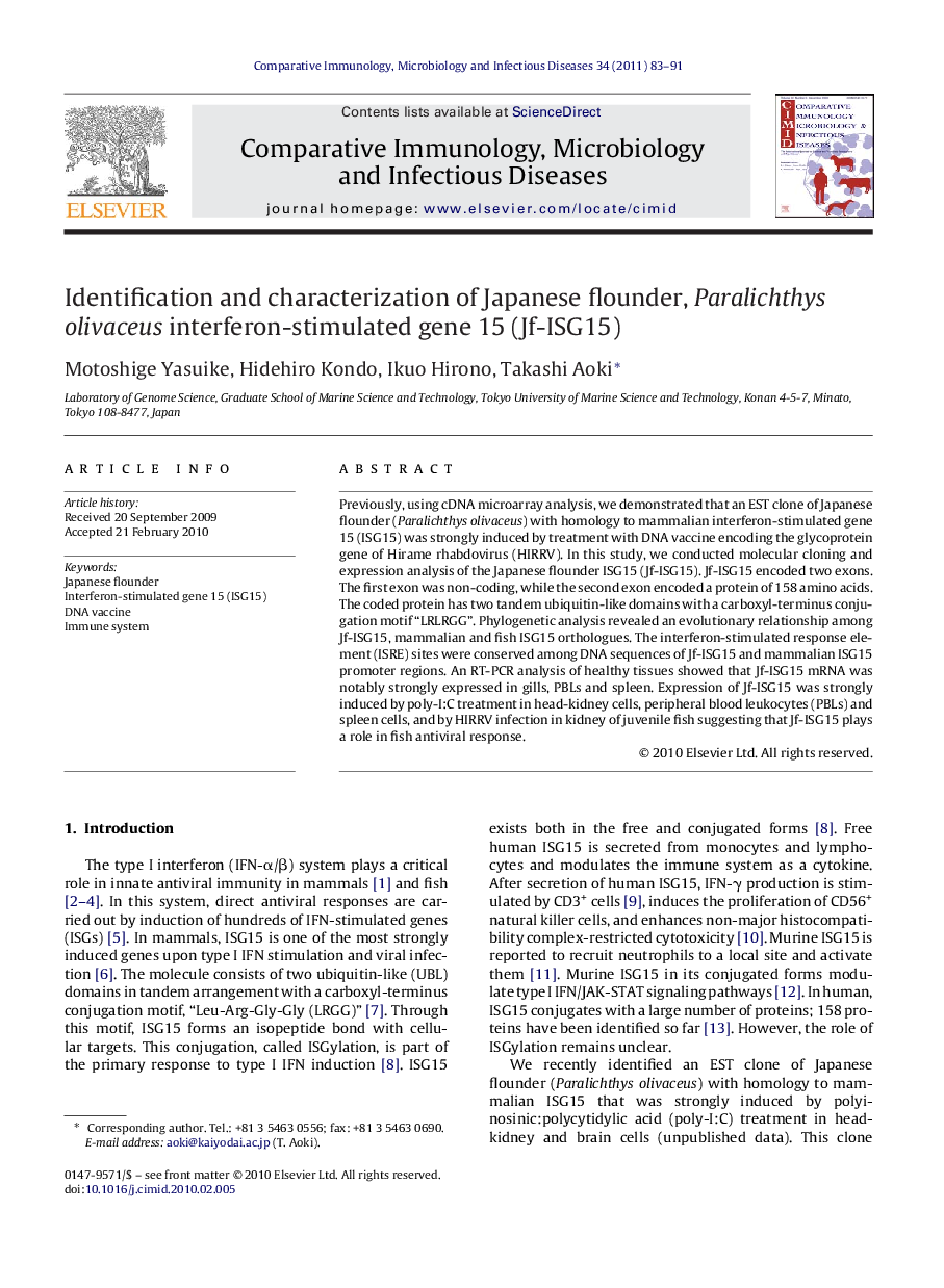 Identification and characterization of Japanese flounder, Paralichthys olivaceus interferon-stimulated gene 15 (Jf-ISG15)