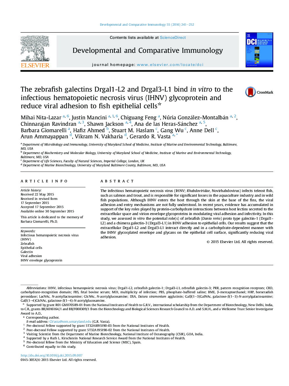 The zebrafish galectins Drgal1-L2 and Drgal3-L1 bind in vitro to the infectious hematopoietic necrosis virus (IHNV) glycoprotein and reduce viral adhesion to fish epithelial cells 