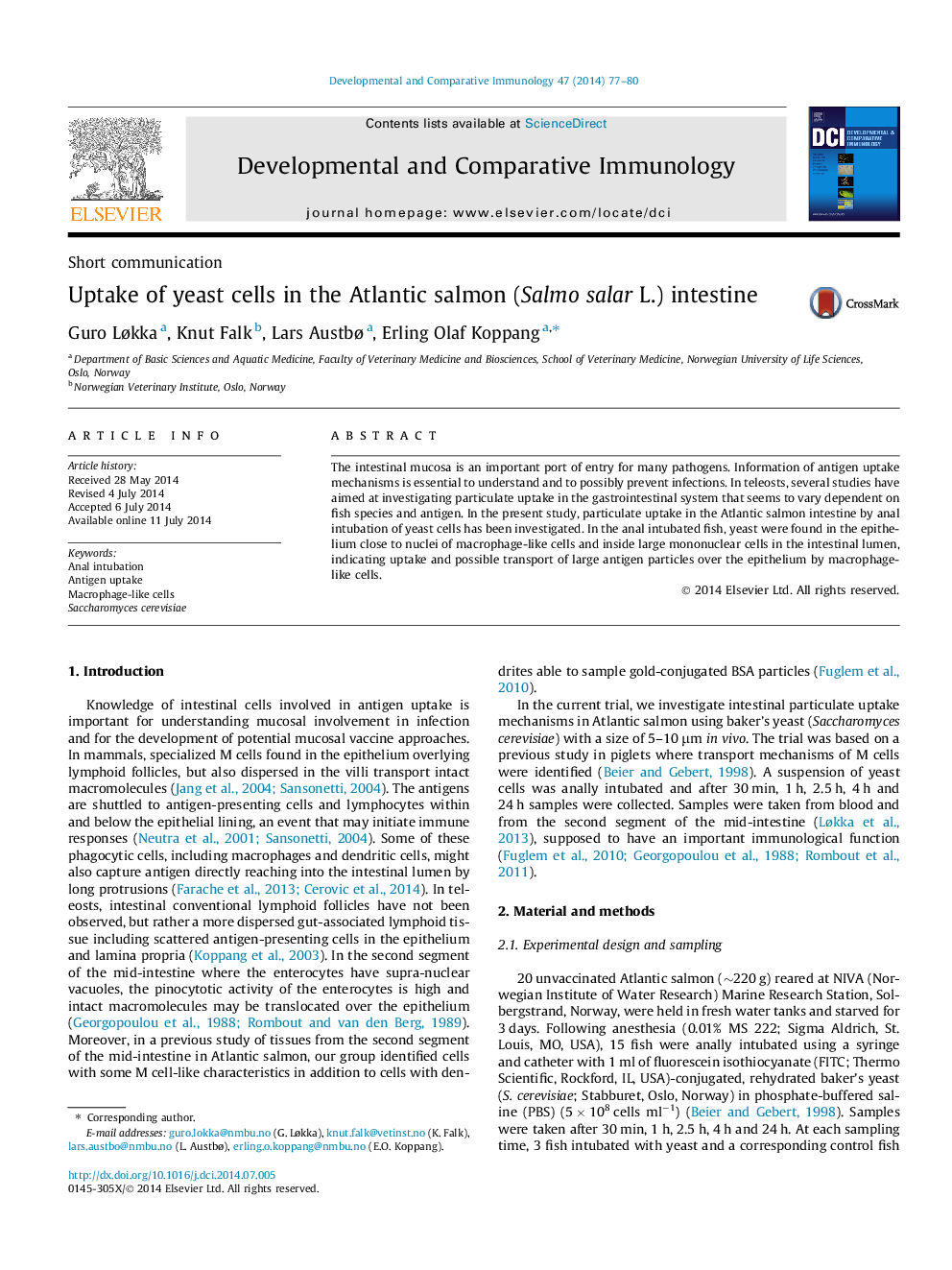 Uptake of yeast cells in the Atlantic salmon (Salmo salar L.) intestine