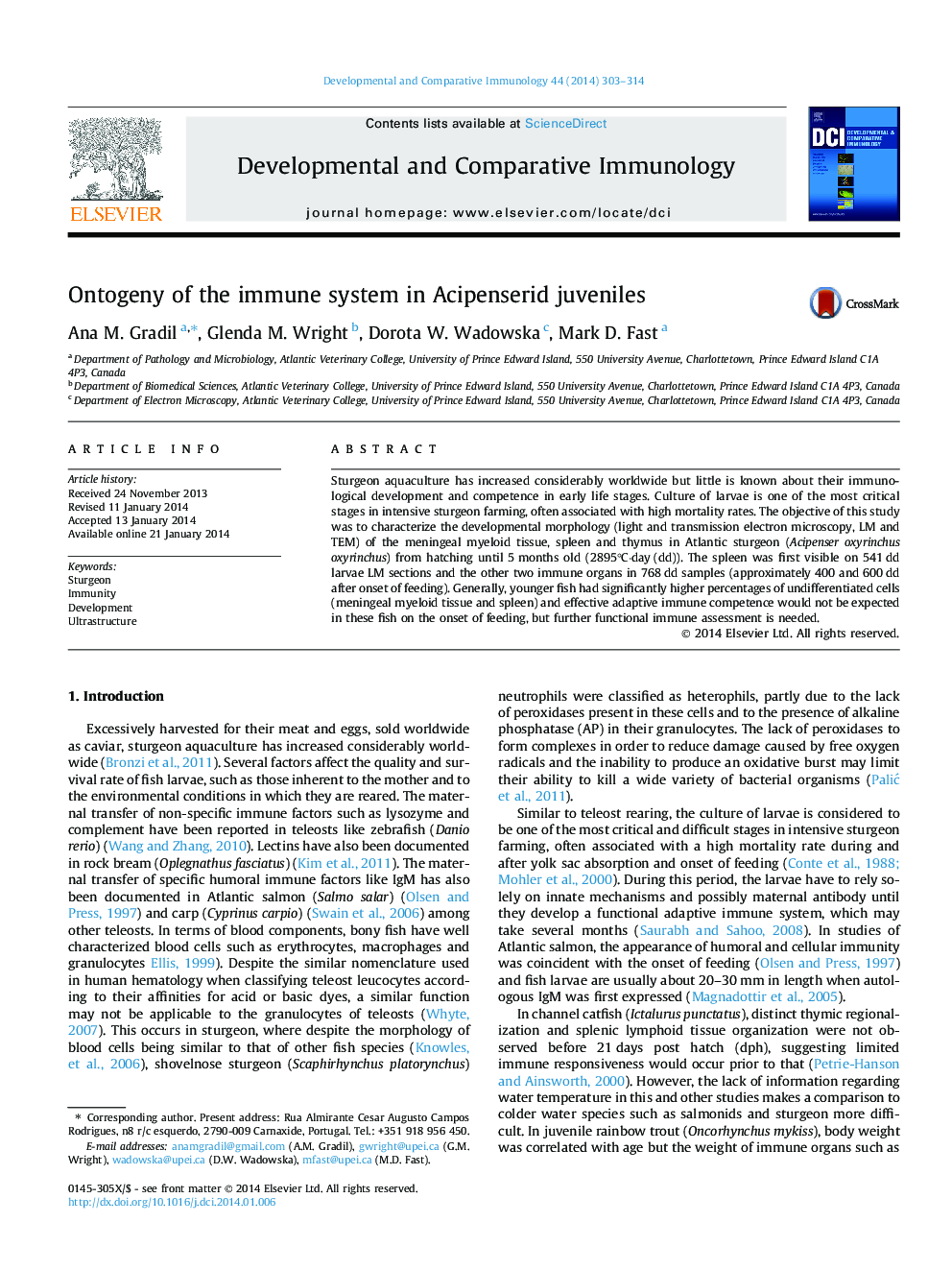 Ontogeny of the immune system in Acipenserid juveniles