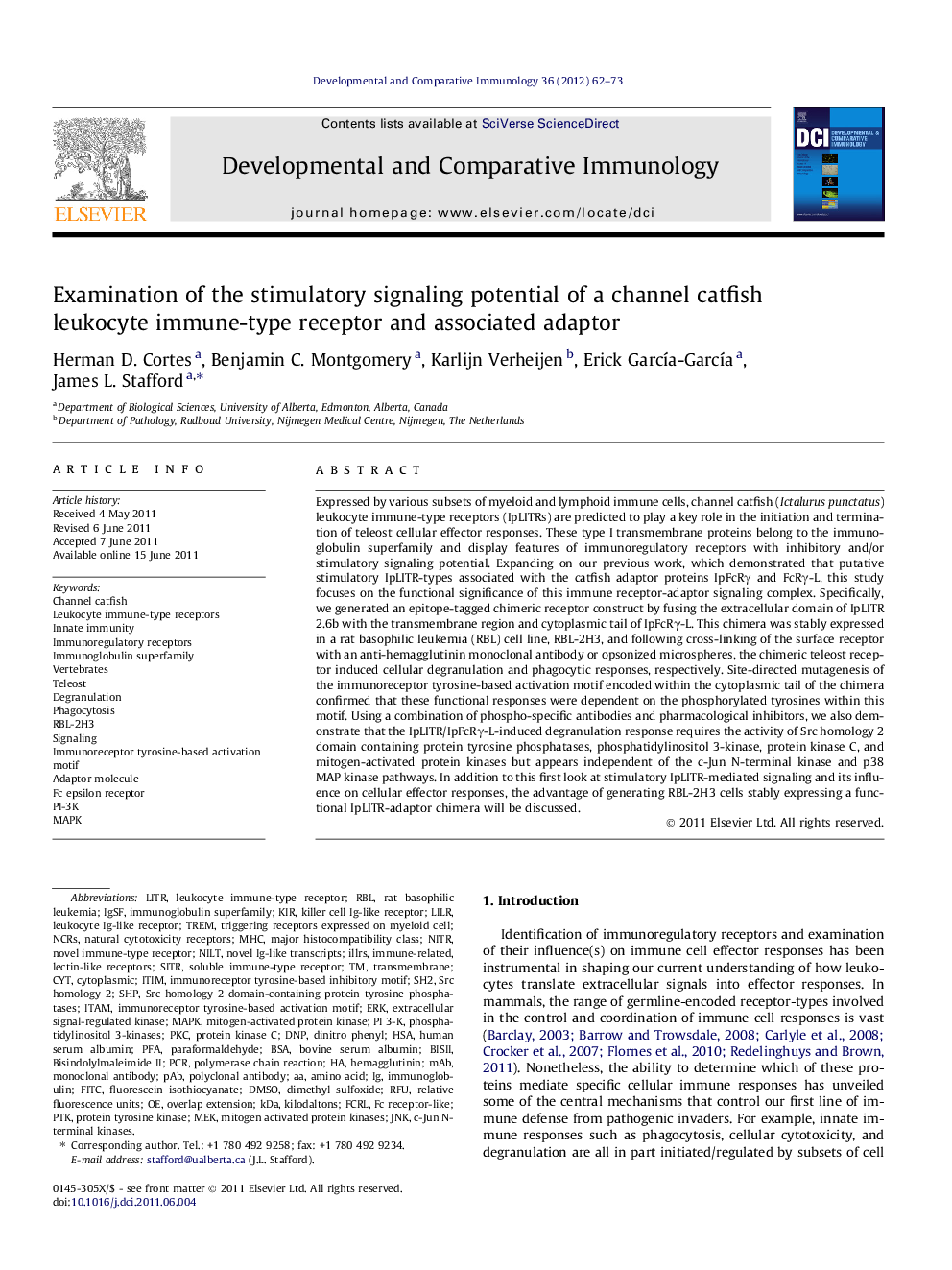 Examination of the stimulatory signaling potential of a channel catfish leukocyte immune-type receptor and associated adaptor