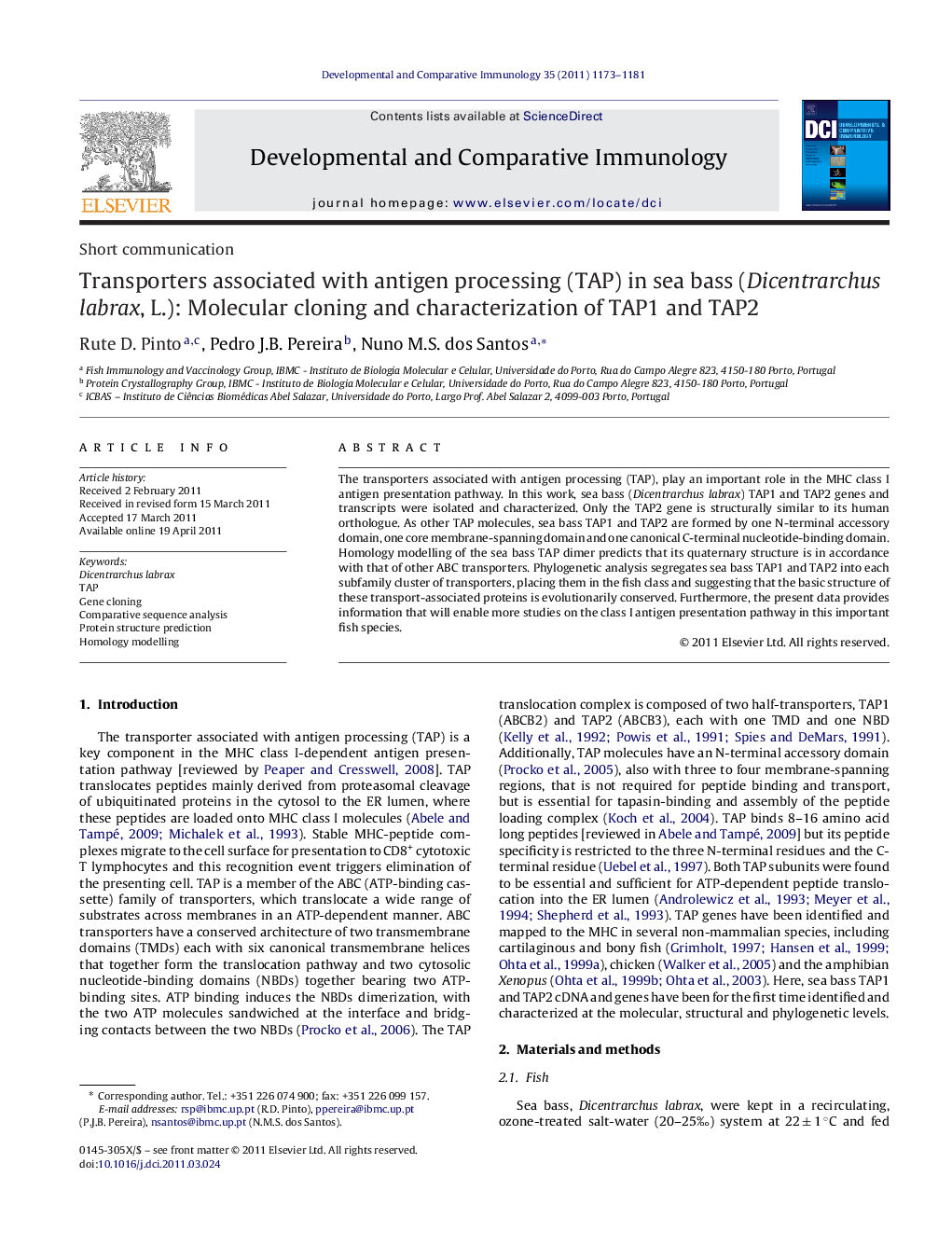 Transporters associated with antigen processing (TAP) in sea bass (Dicentrarchus labrax, L.): Molecular cloning and characterization of TAP1 and TAP2