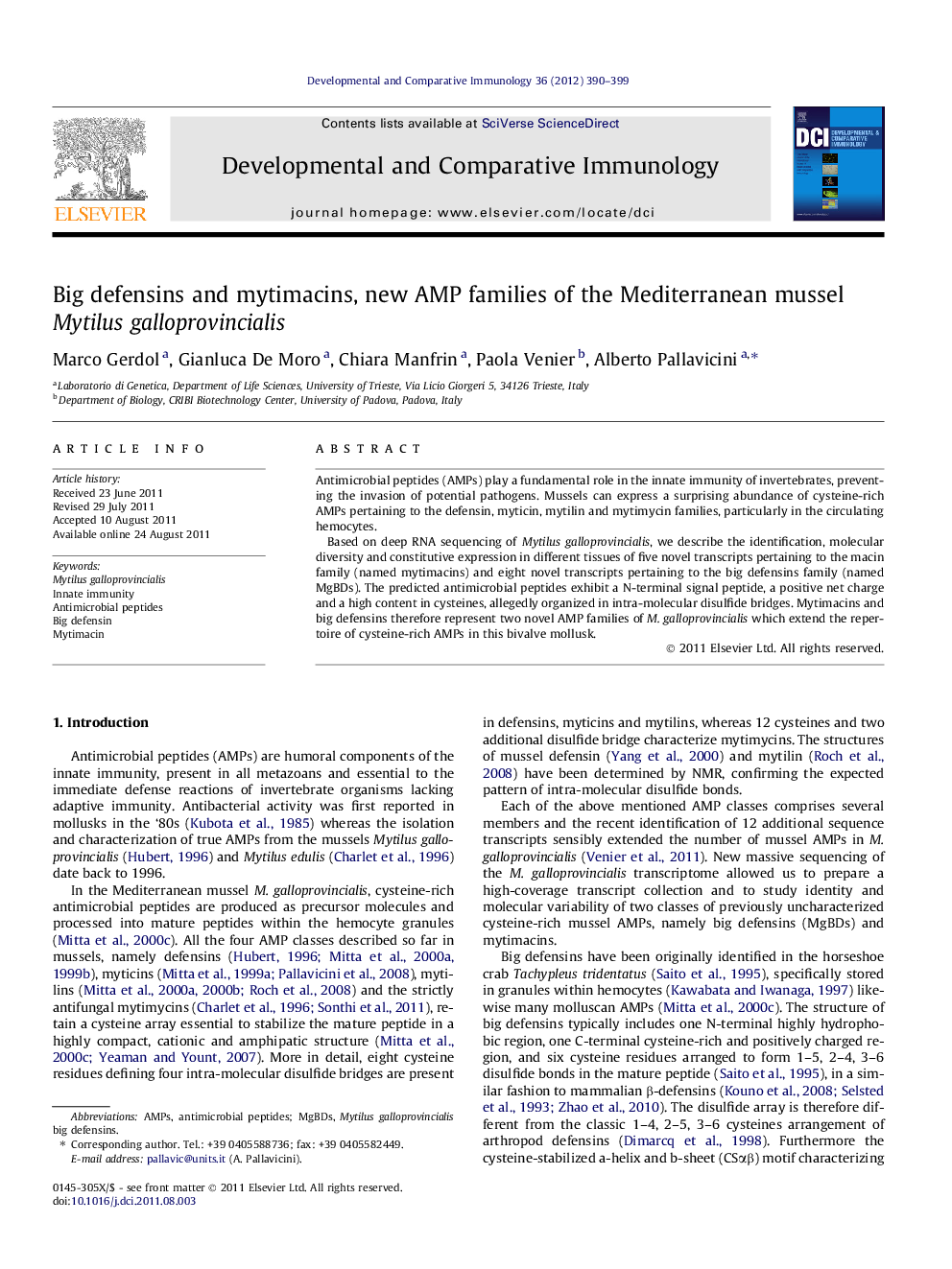 Big defensins and mytimacins, new AMP families of the Mediterranean mussel Mytilus galloprovincialis