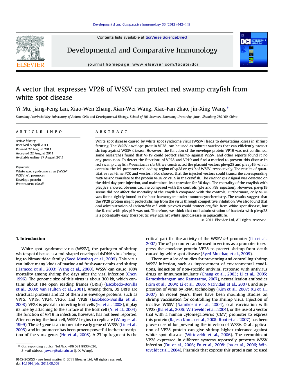 A vector that expresses VP28 of WSSV can protect red swamp crayfish from white spot disease