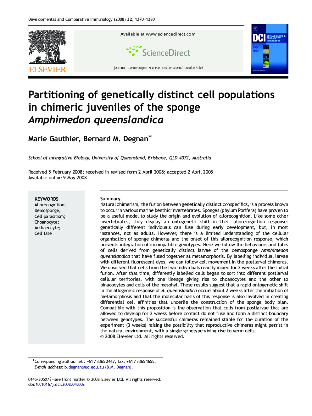 Partitioning of genetically distinct cell populations in chimeric juveniles of the sponge Amphimedon queenslandica