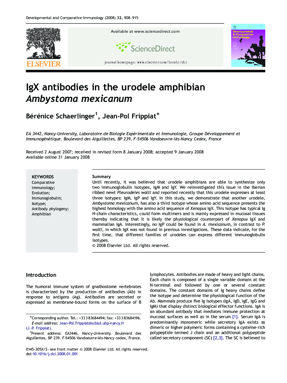 IgX antibodies in the urodele amphibian Ambystoma mexicanum