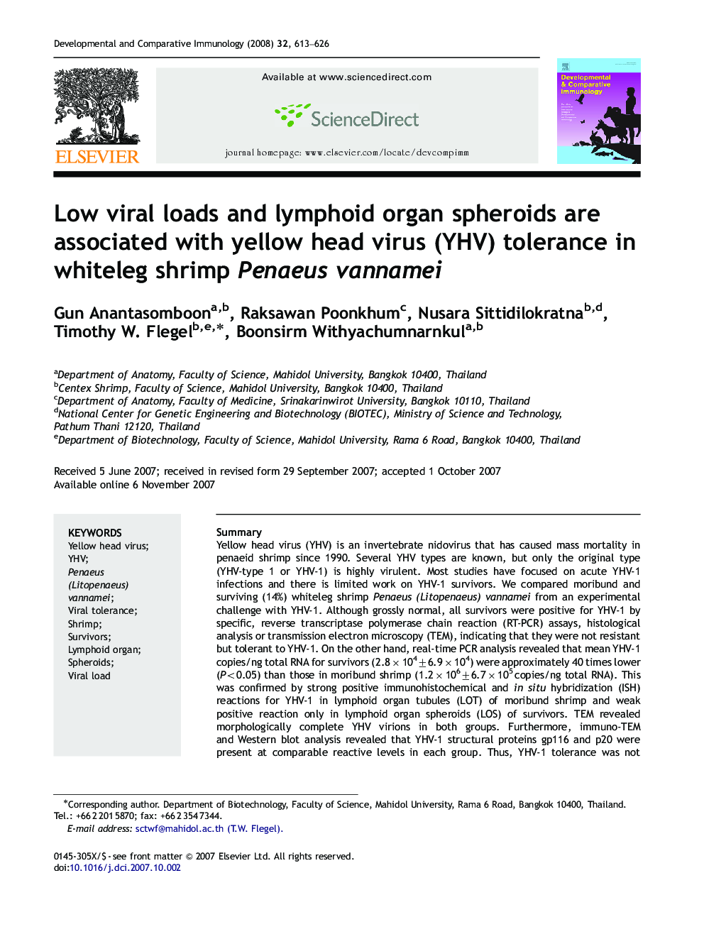 Low viral loads and lymphoid organ spheroids are associated with yellow head virus (YHV) tolerance in whiteleg shrimp Penaeus vannamei