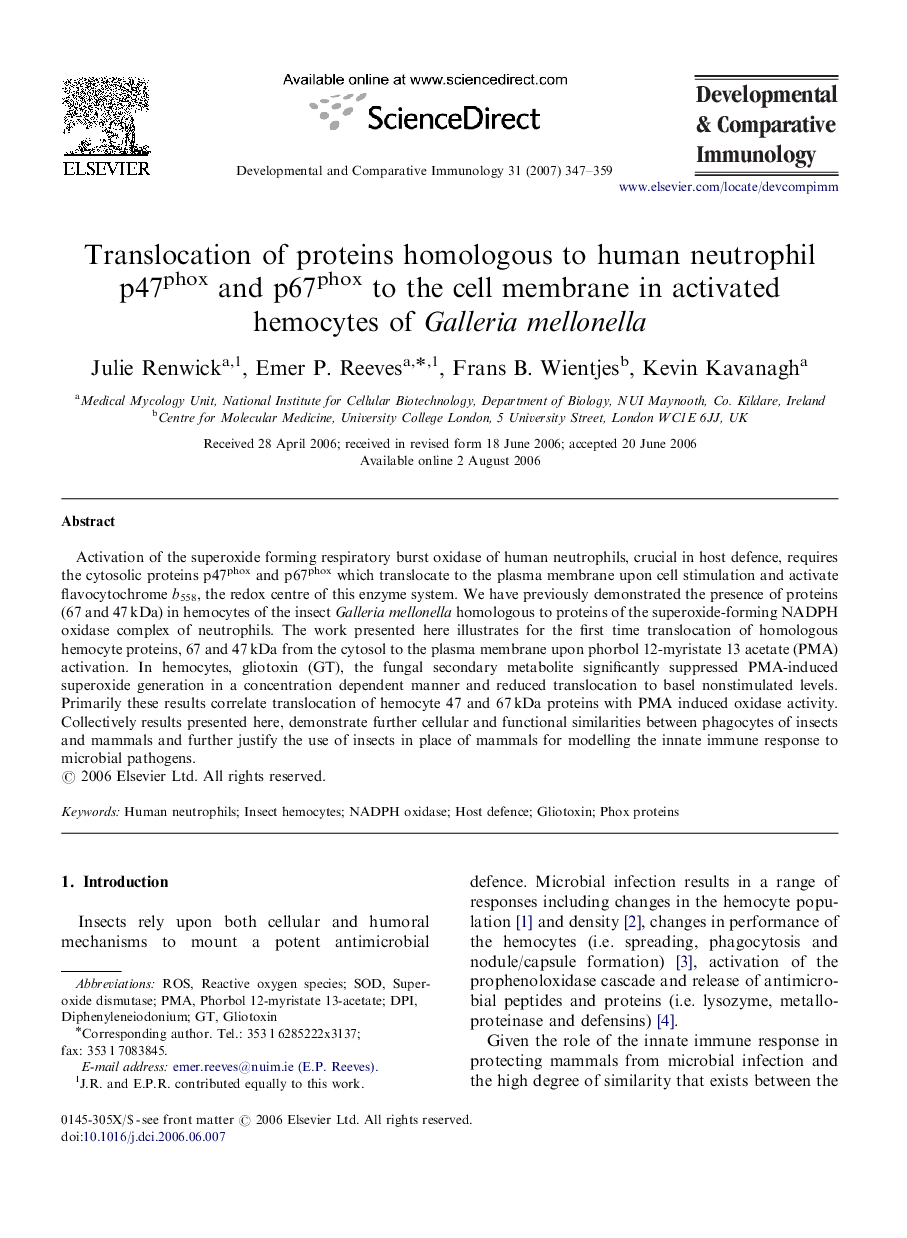 Translocation of proteins homologous to human neutrophil p47phox and p67phox to the cell membrane in activated hemocytes of Galleria mellonella