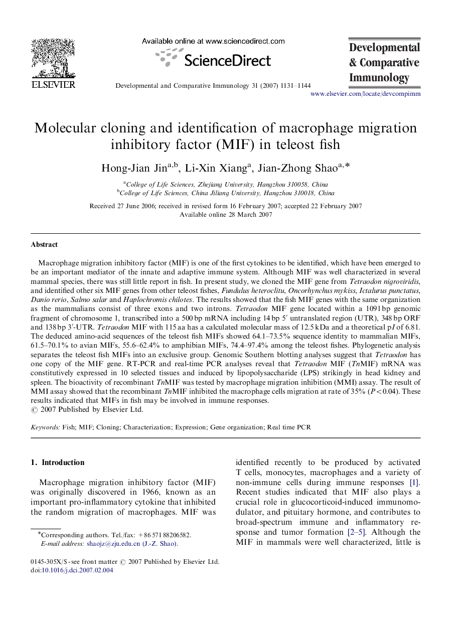 Molecular cloning and identification of macrophage migration inhibitory factor (MIF) in teleost fish