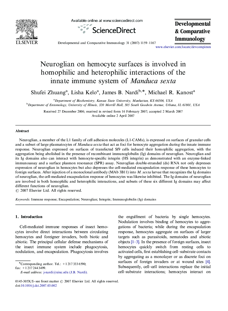 Neuroglian on hemocyte surfaces is involved in homophilic and heterophilic interactions of the innate immune system of Manduca sexta