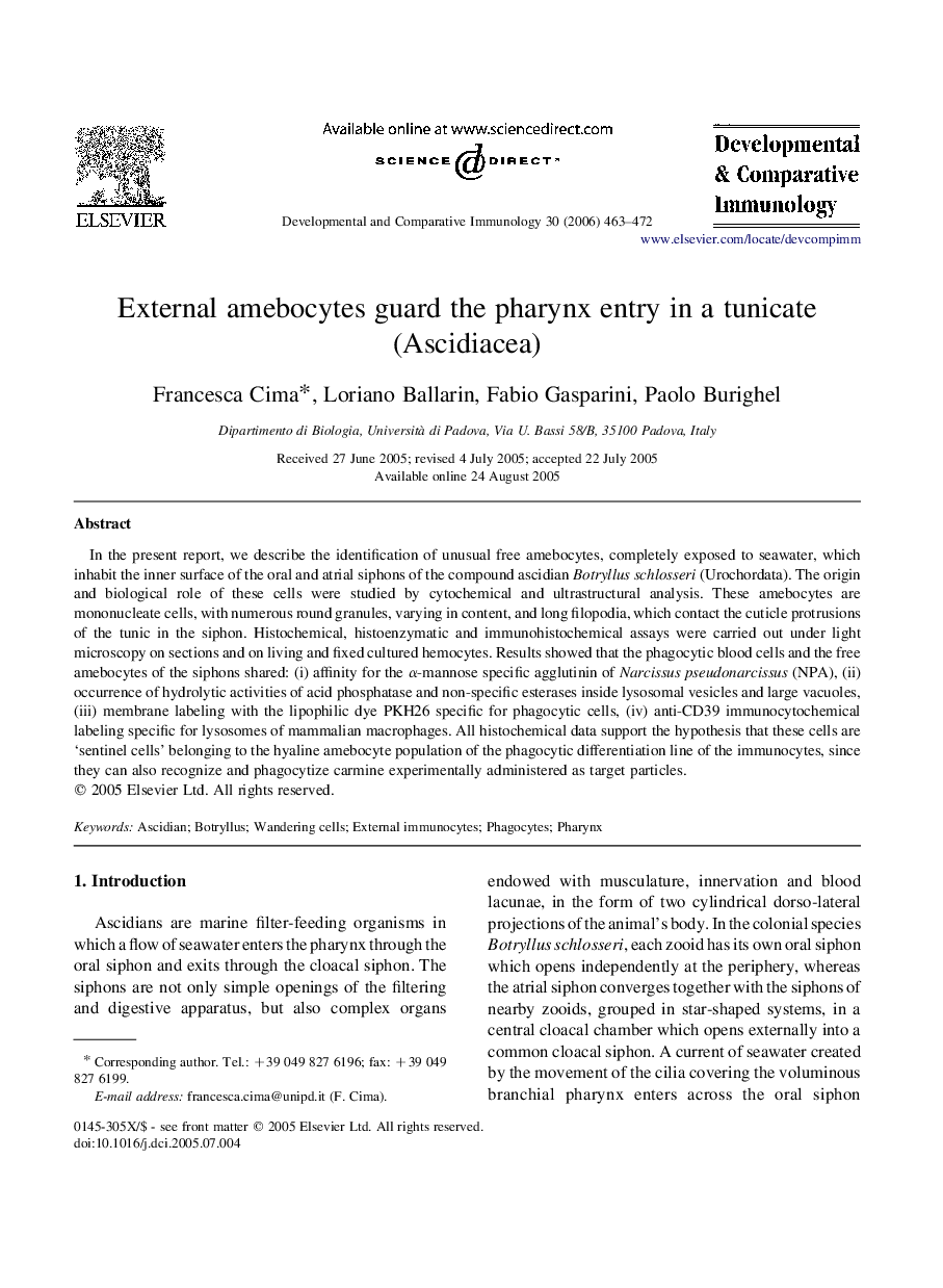 External amebocytes guard the pharynx entry in a tunicate (Ascidiacea)