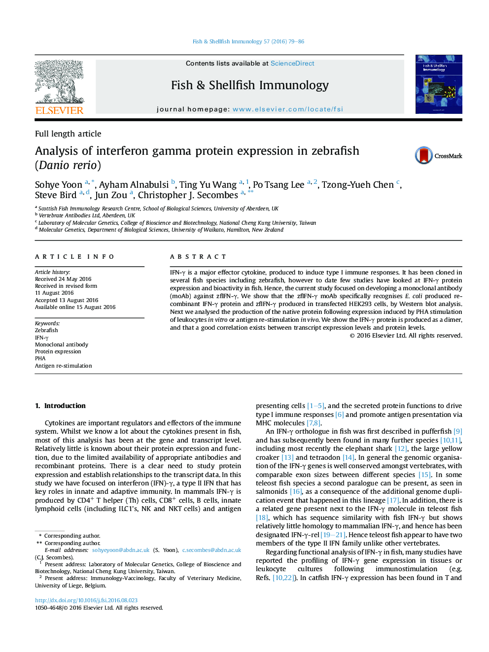 Analysis of interferon gamma protein expression in zebrafish (Danio rerio)