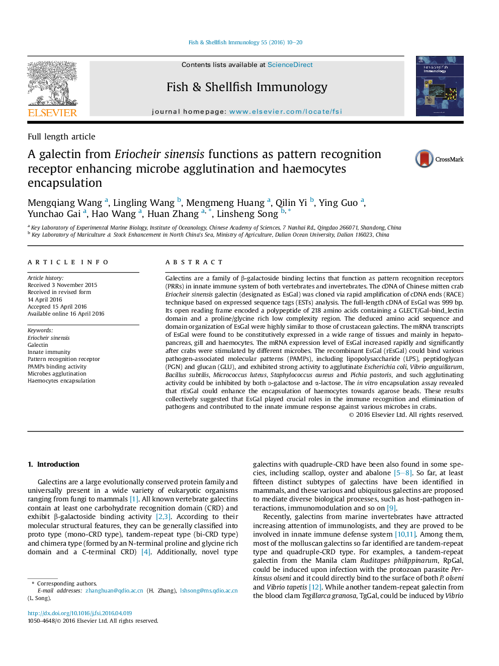 A galectin from Eriocheir sinensis functions as pattern recognition receptor enhancing microbe agglutination and haemocytes encapsulation