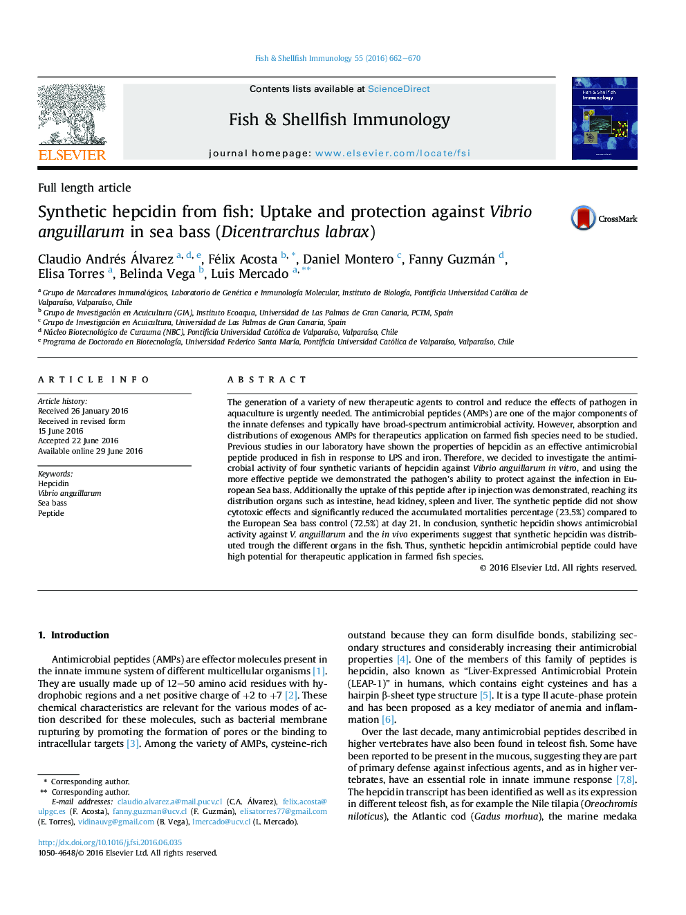 Synthetic hepcidin from fish: Uptake and protection against Vibrio anguillarum in sea bass (Dicentrarchus labrax)