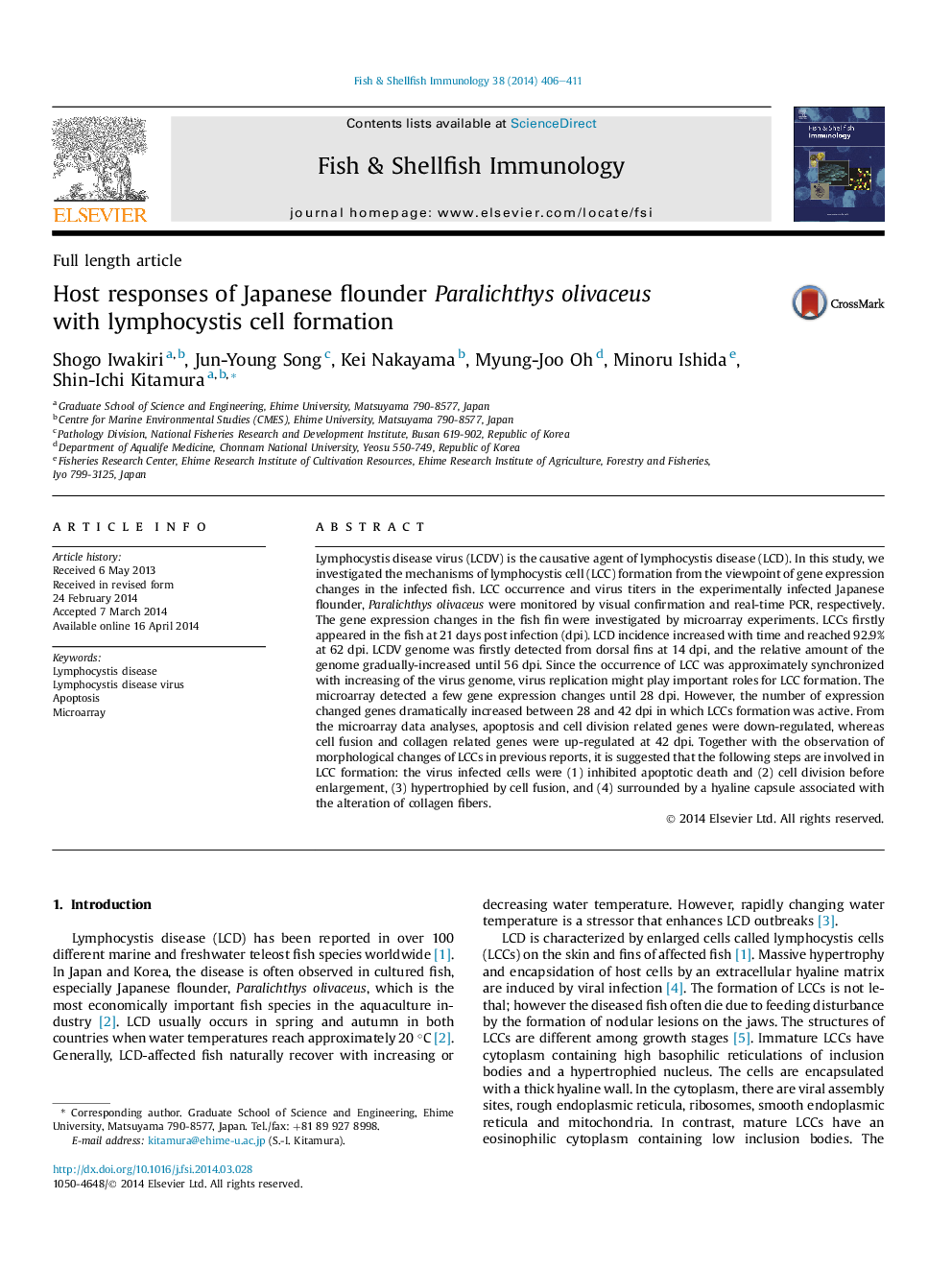 Host responses of Japanese flounder Paralichthys olivaceus with lymphocystis cell formation