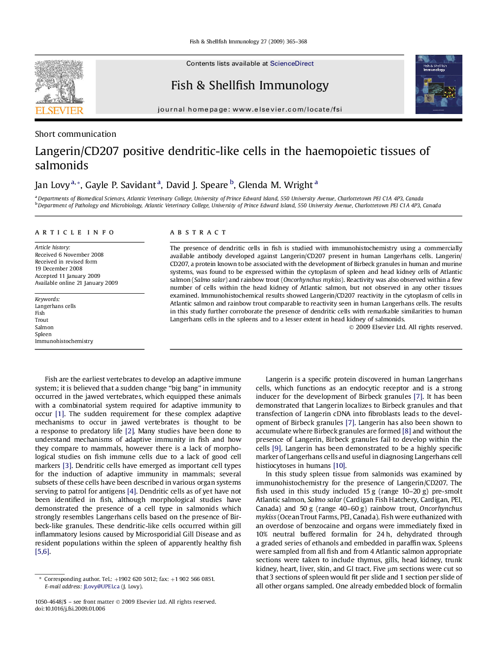 Langerin/CD207 positive dendritic-like cells in the haemopoietic tissues of salmonids