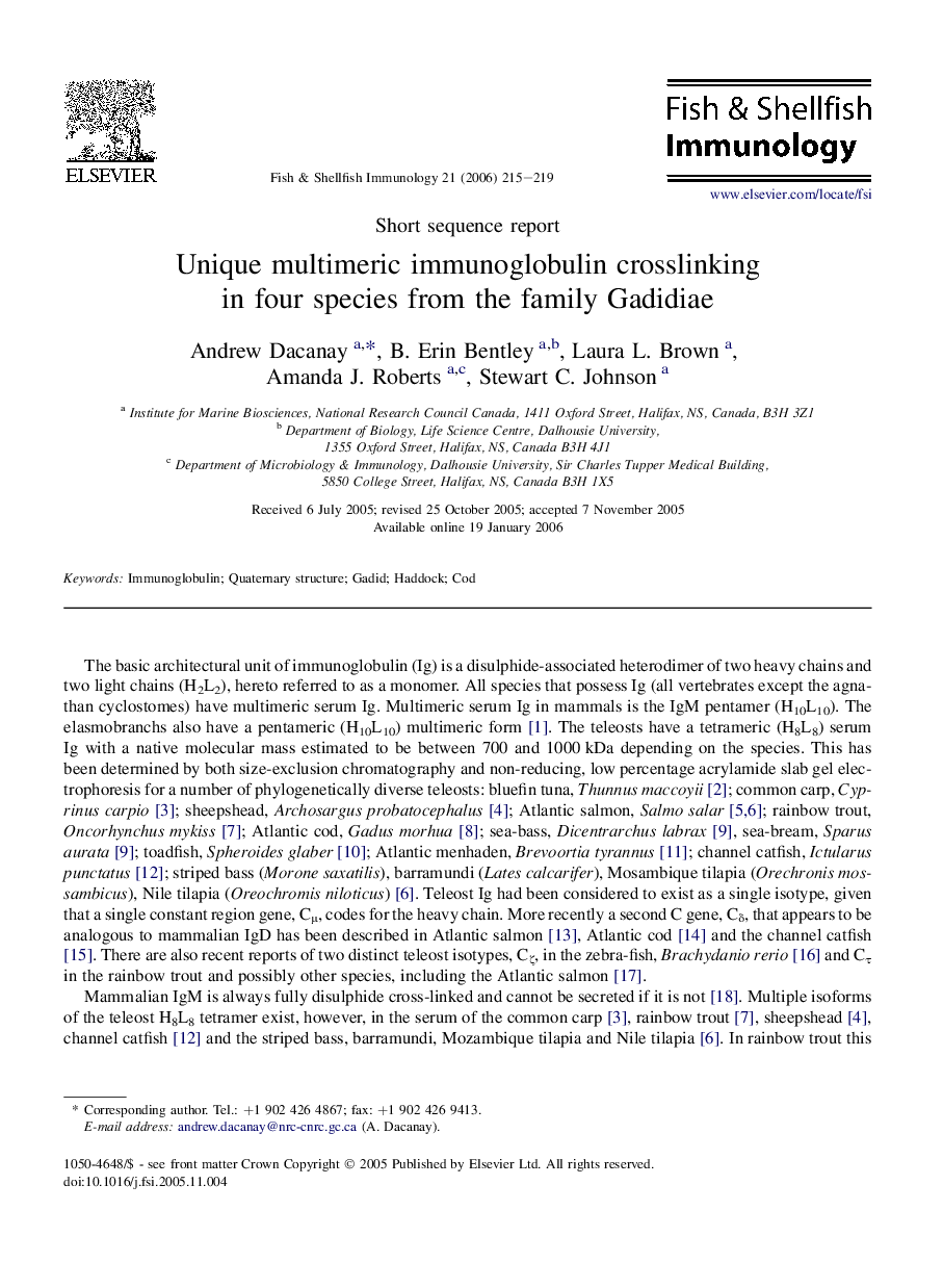 Unique multimeric immunoglobulin crosslinking in four species from the family Gadidiae