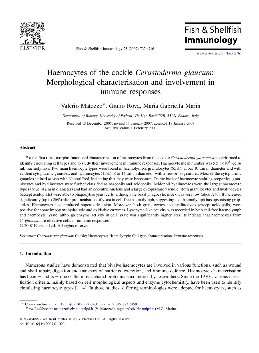 Haemocytes of the cockle Cerastoderma glaucum: Morphological characterisation and involvement in immune responses
