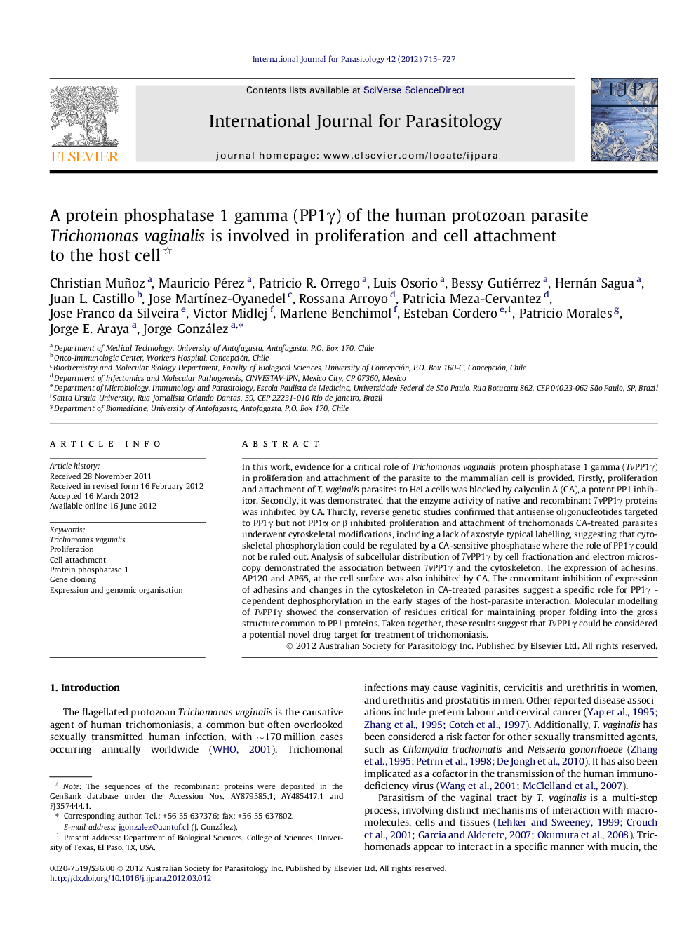 A protein phosphatase 1 gamma (PP1γ) of the human protozoan parasite Trichomonas vaginalis is involved in proliferation and cell attachment to the host cell 