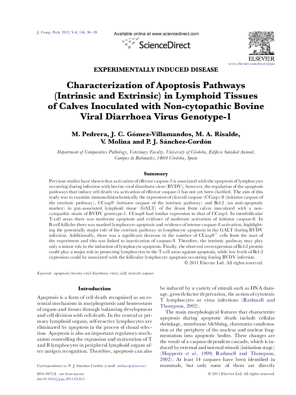 Characterization of Apoptosis Pathways (Intrinsic and Extrinsic) in Lymphoid Tissues of Calves Inoculated with Non-cytopathic Bovine Viral Diarrhoea Virus Genotype-1