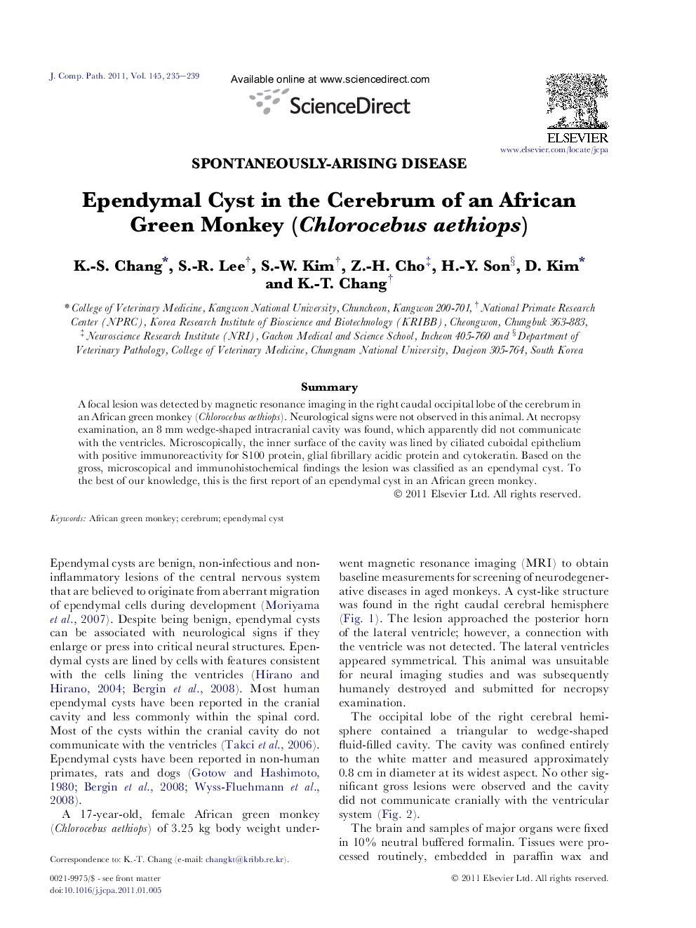 Ependymal Cyst in the Cerebrum of an African Green Monkey (Chlorocebus aethiops)