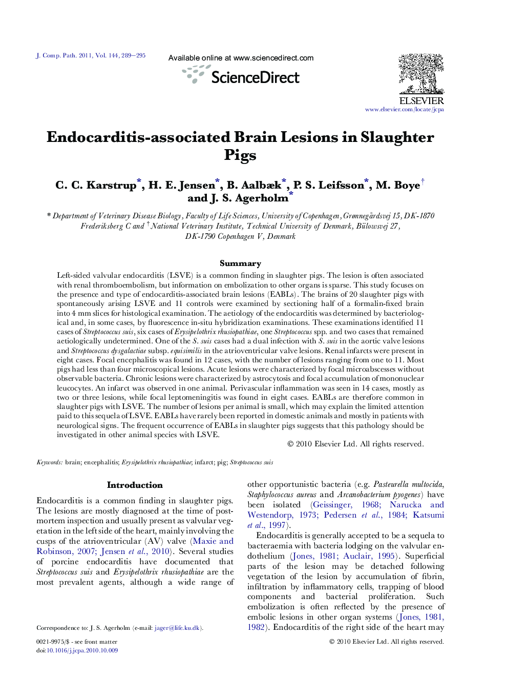 Endocarditis-associated Brain Lesions in Slaughter Pigs