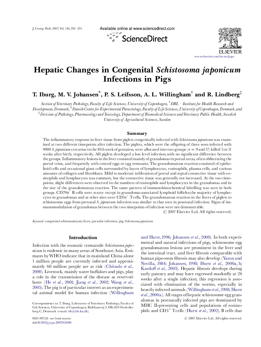 Hepatic Changes in Congenital Schistosoma japonicum Infections in Pigs