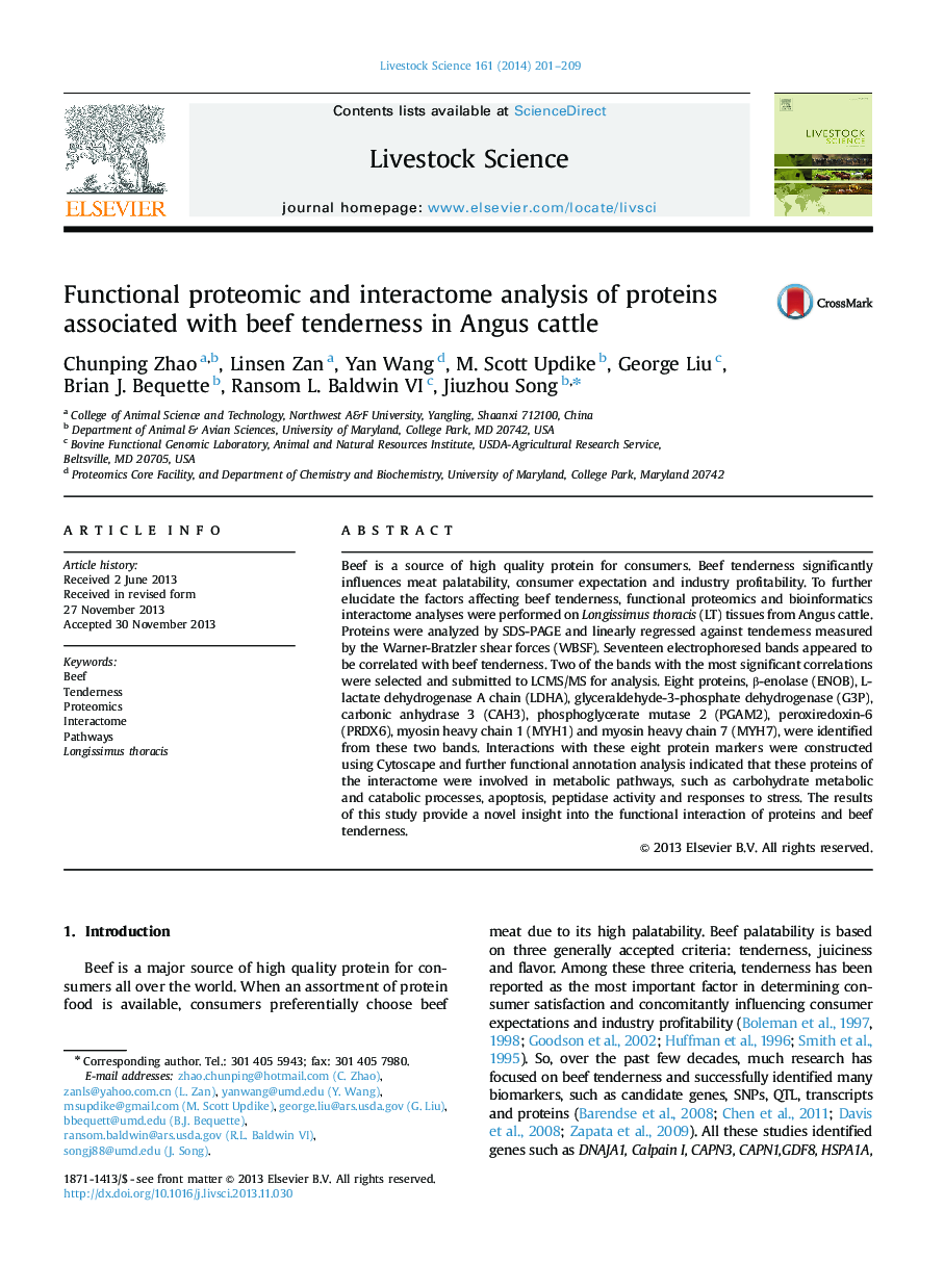 Functional proteomic and interactome analysis of proteins associated with beef tenderness in Angus cattle