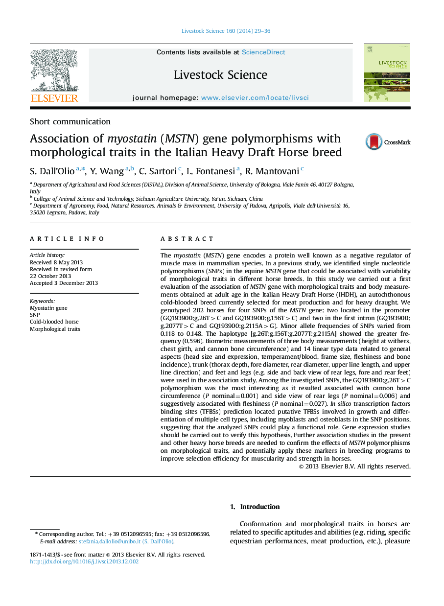 Association of myostatin (MSTN) gene polymorphisms with morphological traits in the Italian Heavy Draft Horse breed