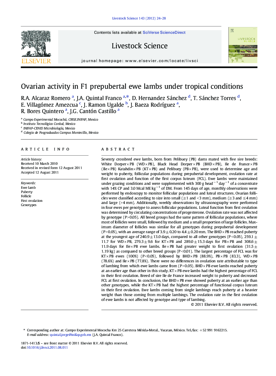 Ovarian activity in F1 prepubertal ewe lambs under tropical conditions