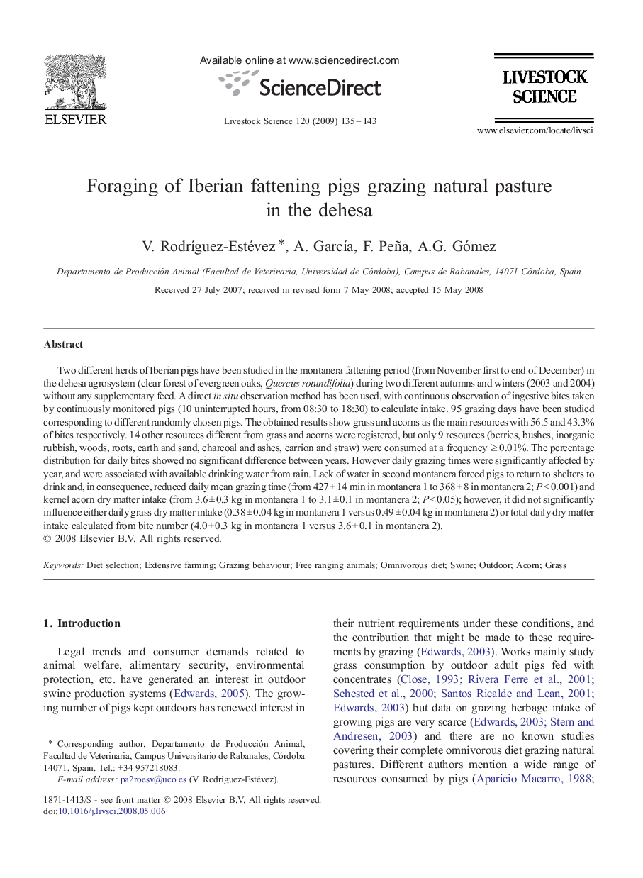 Foraging of Iberian fattening pigs grazing natural pasture in the dehesa