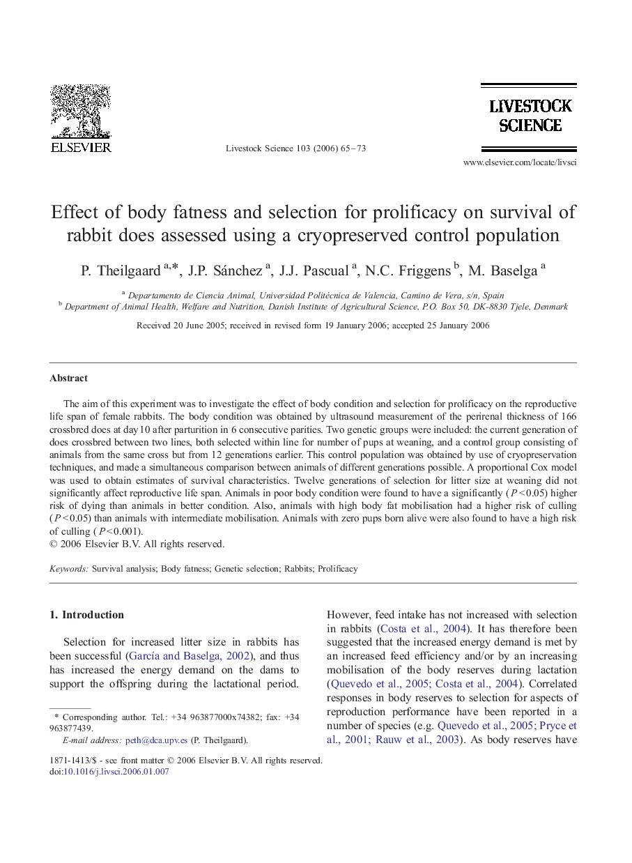 Effect of body fatness and selection for prolificacy on survival of rabbit does assessed using a cryopreserved control population