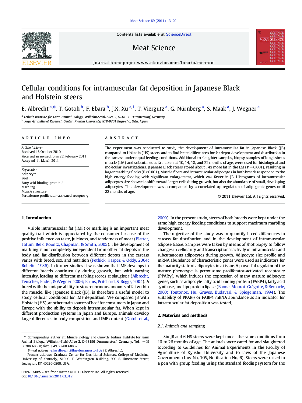 Cellular conditions for intramuscular fat deposition in Japanese Black and Holstein steers