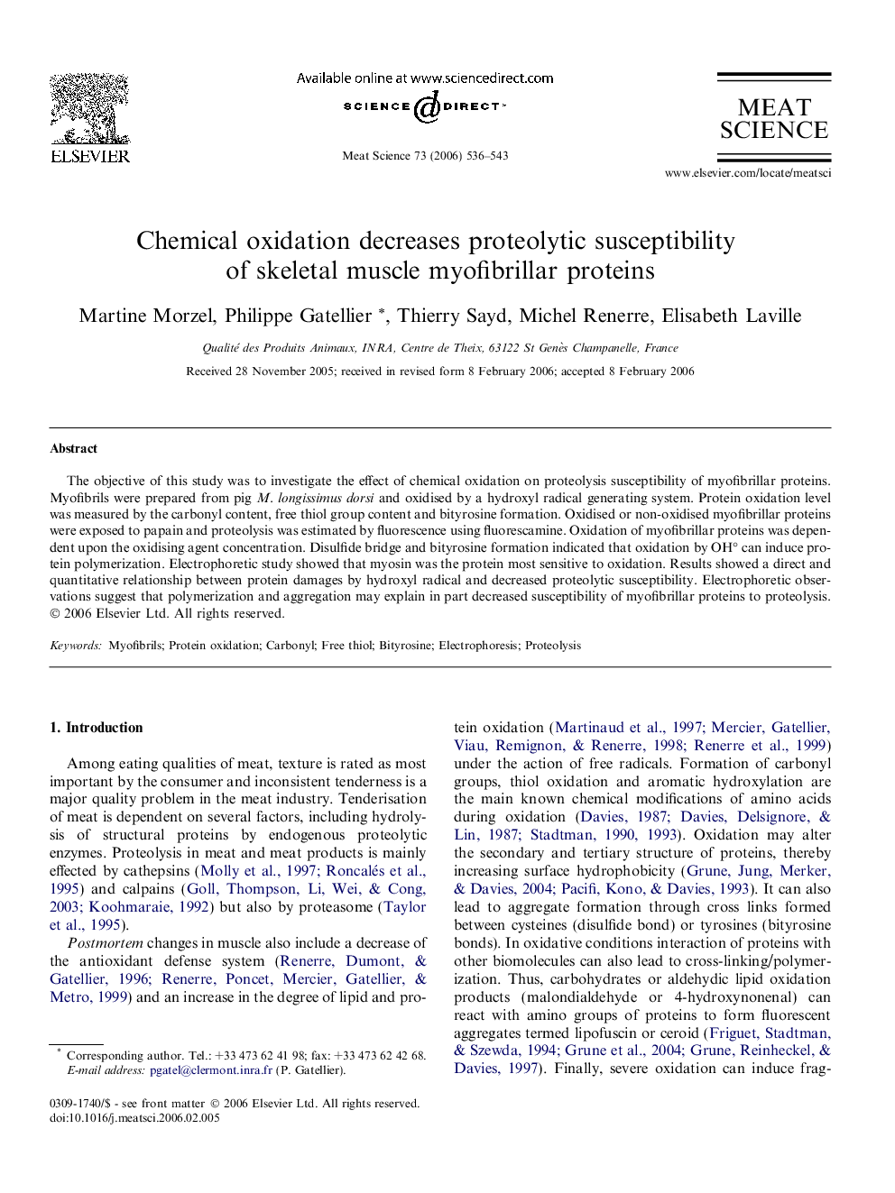 Chemical oxidation decreases proteolytic susceptibility of skeletal muscle myofibrillar proteins