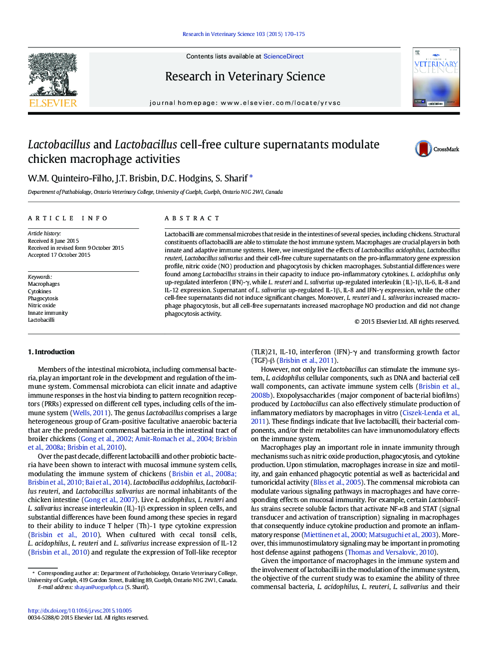 Lactobacillus and Lactobacillus cell-free culture supernatants modulate chicken macrophage activities